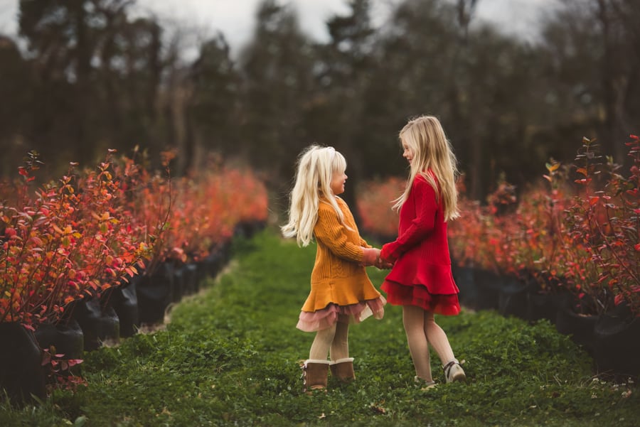 girls in blueberry field